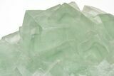 Green Cubic Fluorite Crystals with Phantoms - China #216306-3